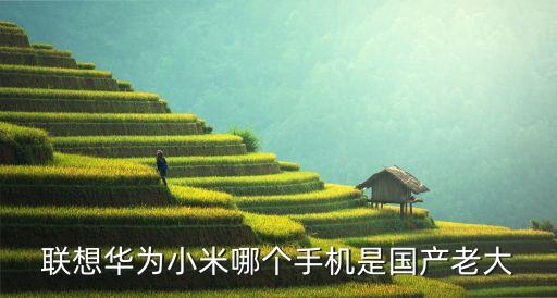 聯(lián)想華為小米哪個(gè)手機(jī)是國(guó)產(chǎn)老大