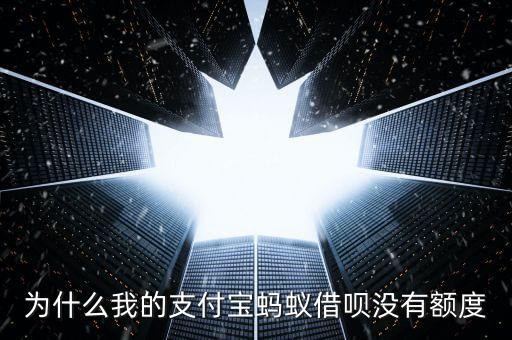 為什么我的支付寶螞蟻借唄沒有額度