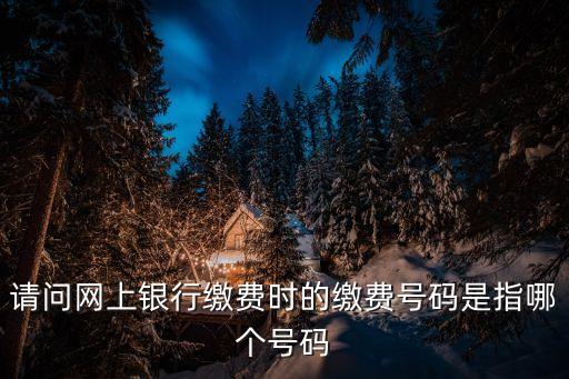 請(qǐng)問(wèn)網(wǎng)上銀行繳費(fèi)時(shí)的繳費(fèi)號(hào)碼是指哪個(gè)號(hào)碼