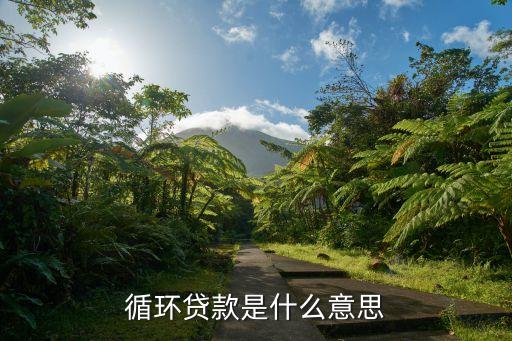 循環(huán)貸款是什么意思