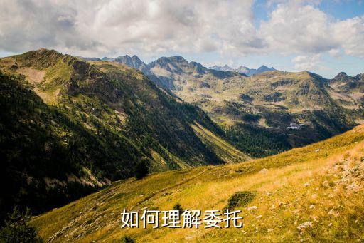 為什么要使用委托，如何理解委托