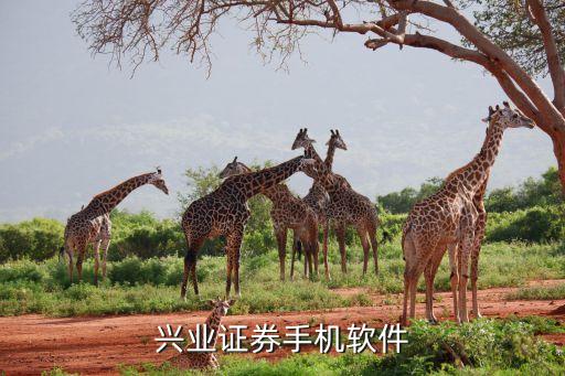 興業(yè)證券app叫什么，興業(yè)證券手機軟件