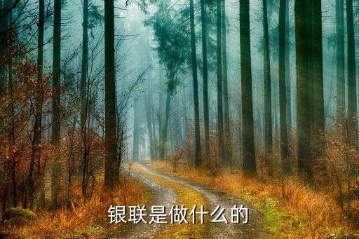 什么叫銀聯(lián)，銀聯(lián)是做什么的