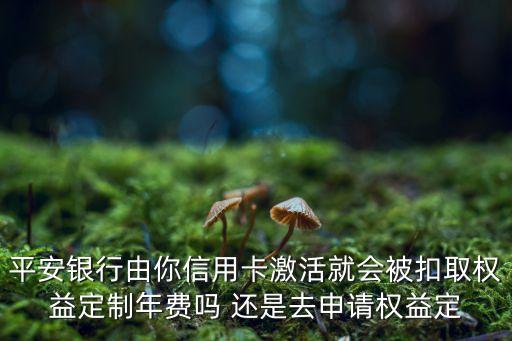 平安權(quán)益定制有什么區(qū)別，平安由你信用卡必須得用權(quán)益定制嗎如果不定制就不用交定制費嗎