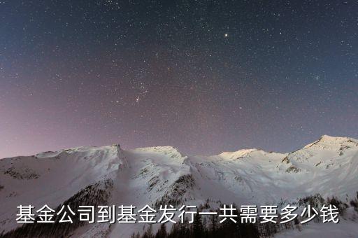 基金公司到基金發(fā)行一共需要多少錢