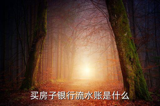 買房銀行流水是什么，按揭買房要銀行流水是什么啊