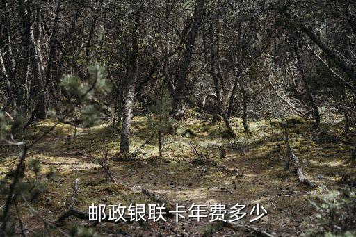 銀聯(lián)卡年費(fèi)是什么，郵政銀聯(lián)卡年費(fèi)多少