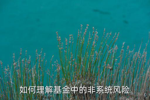 如何理解基金中的非系統(tǒng)風險