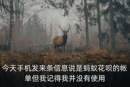 花唄漏洞是什么，螞蟻花唄的系統(tǒng) 錯誤是什么意思