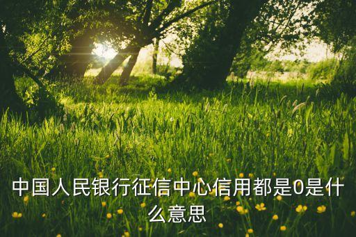 中國人民銀行征信中心信用都是0是什么意思
