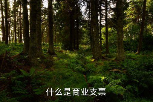 什么是商業(yè)支票