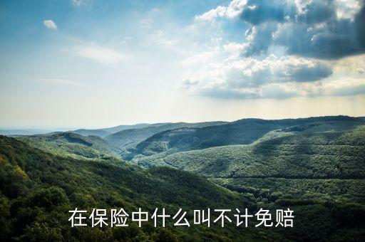 在保險中什么叫不計免賠