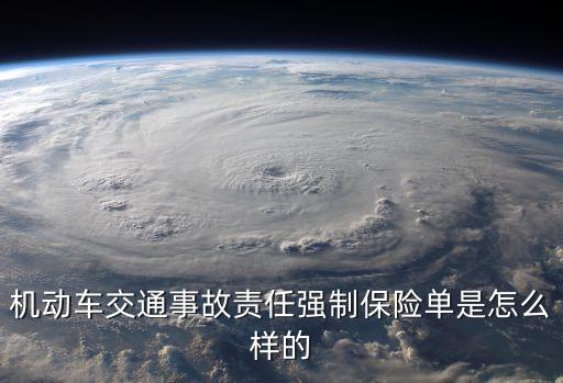 機(jī)動(dòng)車交通事故責(zé)任強(qiáng)制保險(xiǎn)單是怎么樣的