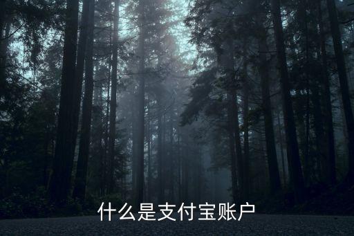 支付寶帳號(hào)是什么，支付寶賬號(hào)是指什么