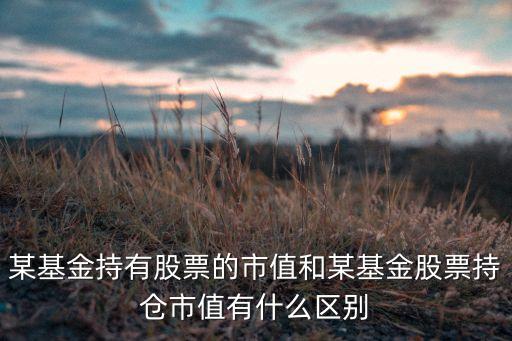 某基金持有股票的市值和某基金股票持倉市值有什么區(qū)別