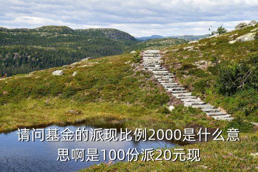請問基金的派現(xiàn)比例2000是什么意思啊是100份派20元現(xiàn)