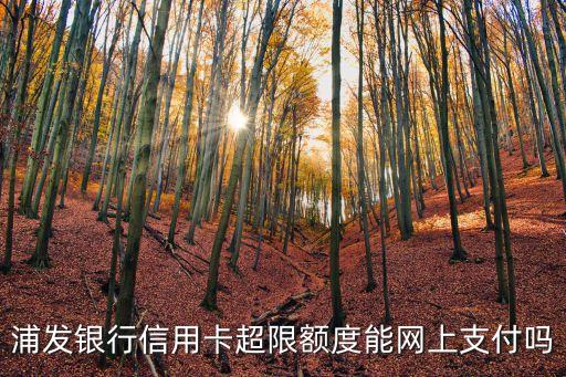 浦發(fā)銀行信用卡超限額度能網(wǎng)上支付嗎