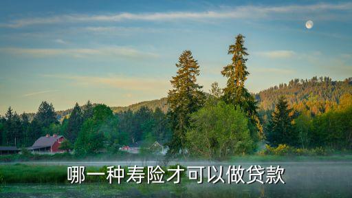哪一種壽險(xiǎn)才可以做貸款