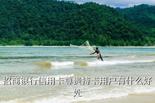 招商尊貴卡是什么，招商銀行信用卡尊貴持卡用戶有什么好處