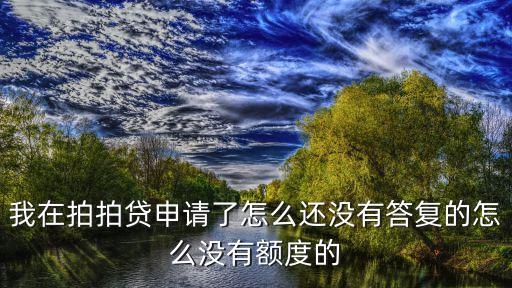 我在拍拍貸申請了怎么還沒有答復的怎么沒有額度的