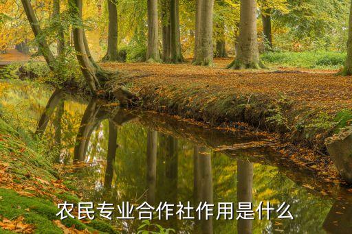 合作社有什么好處，農(nóng)民專業(yè)合作社作用是什么