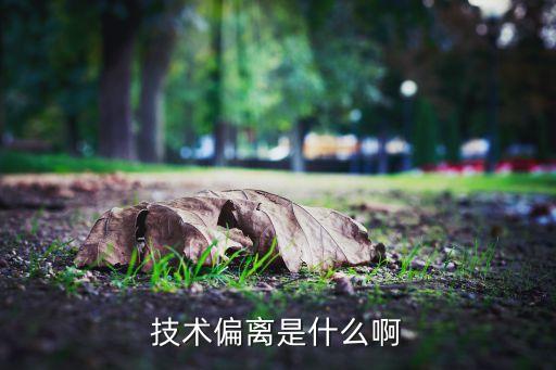 技術(shù)偏離是什么啊