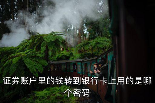 證券賬戶里的錢轉(zhuǎn)到銀行卡上用的是哪個密碼
