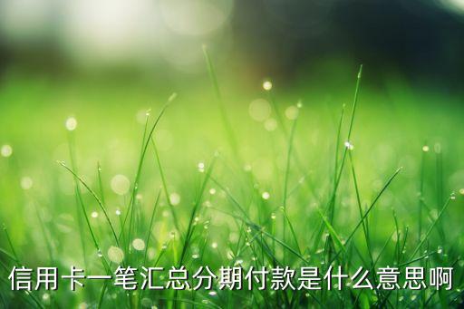 信用卡一筆匯總分期付款是什么意思啊