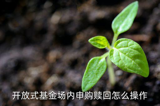 基金怎么申購贖回，開放式基金場內(nèi)申購贖回怎么操作