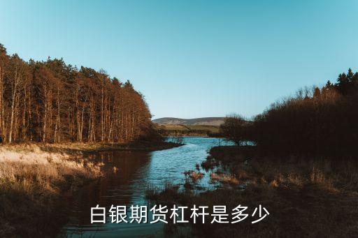 什么期貨杠桿高，杠桿比大的期貨交易 比如1100杠桿比
