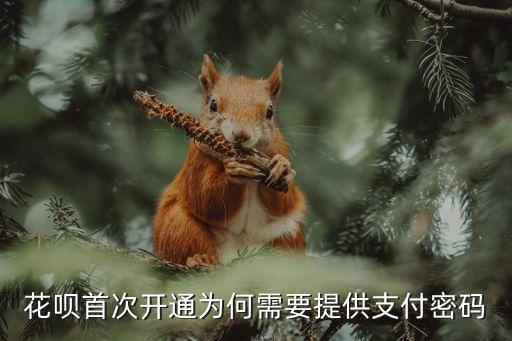 花唄提供淘寶密碼是什么意思，花唄首次開通為何需要提供支付密碼