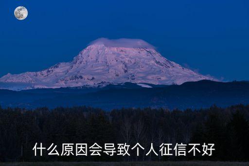 什么原因會導(dǎo)致個人征信不好