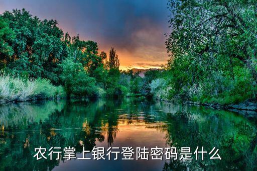 農(nóng)行掌上銀行登陸密碼是什么