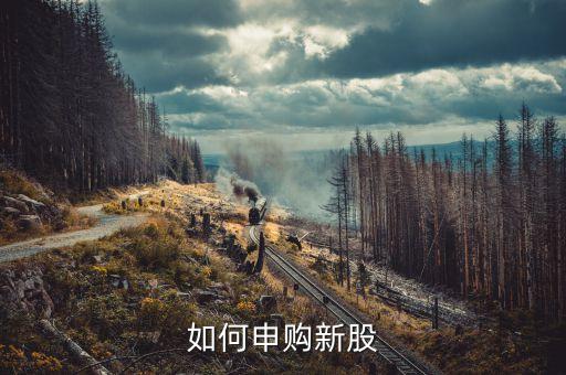 什么叫新股，申購(gòu)新股滬市最少1000股深市最少500股是什么意思