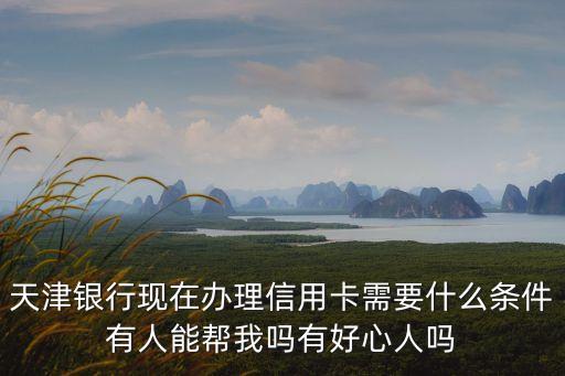天津銀行現(xiàn)在辦理信用卡需要什么條件有人能幫我嗎有好心人嗎