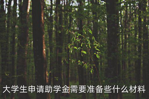 大學(xué)生申請助學(xué)金需要準(zhǔn)備些什么材料