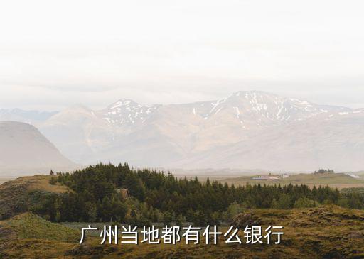 廣州都用什么銀行，廣州當?shù)囟加惺裁淬y行