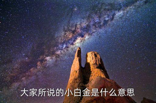 中信小白金卡是什么意思，大家所說的小白金是什么意思
