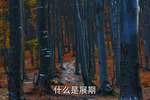 什么是展期