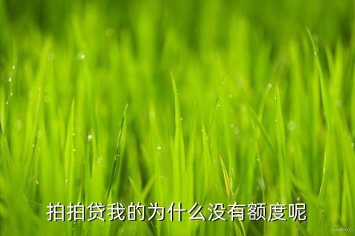 拍拍貸我的為什么沒有額度呢