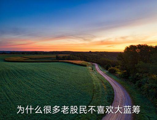 大跌為什么不買藍籌，基金為何含淚賣藍籌