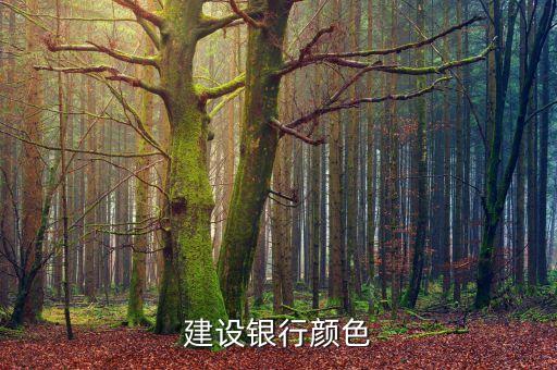 建設(shè)銀行顏色