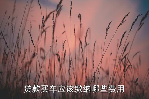 貸款買車應該繳納哪些費用