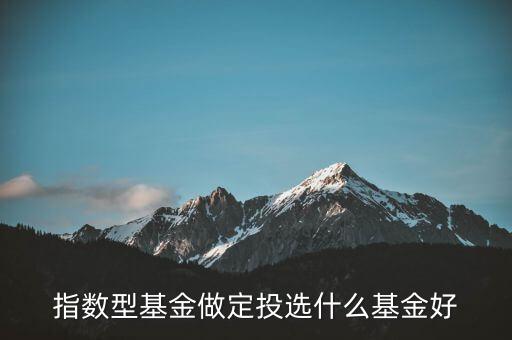 指數(shù)型基金做定投選什么基金好