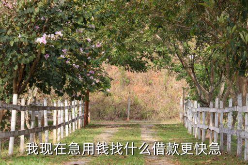 急用錢什么速度最快，我現(xiàn)在急用錢找什么借款更快急