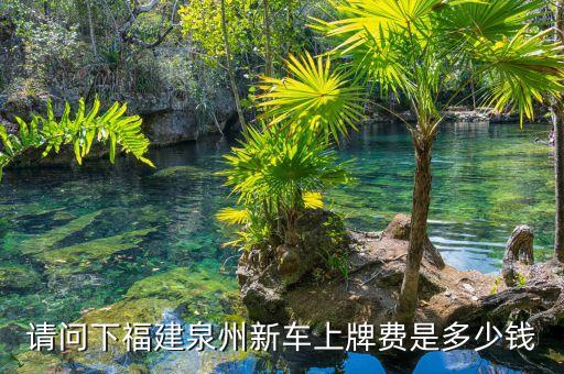 福建買車需要什么手續(xù)費(fèi)嗎，貸款買車 按揭付款 泉州