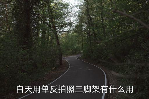 拍拍架是干什么用的，買手機(jī)送的拍拍架是干什么的