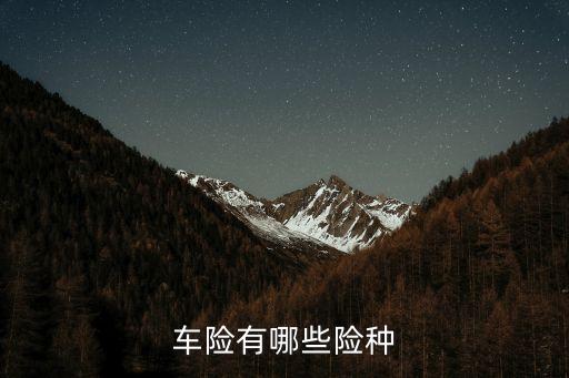 車(chē)險(xiǎn)有哪些險(xiǎn)種