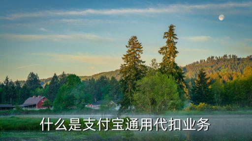 什么是支付寶通用代扣業(yè)務(wù)