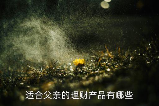 適合父親的理財(cái)產(chǎn)品有哪些